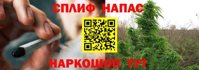 трава Аргун