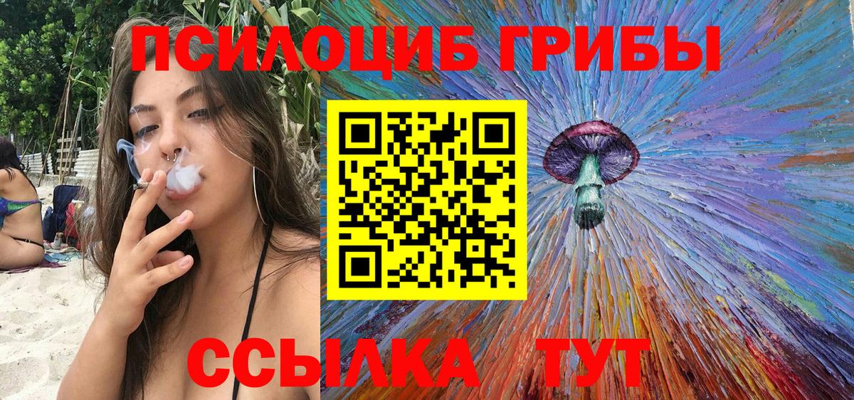 Галлюциногенные грибы Cubensis Богородицк