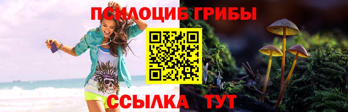 Галлюциногенные грибы GOLDEN TEACHER  Вход с VPN  Богородицк  Галлюциногенные грибы прущие грибы 