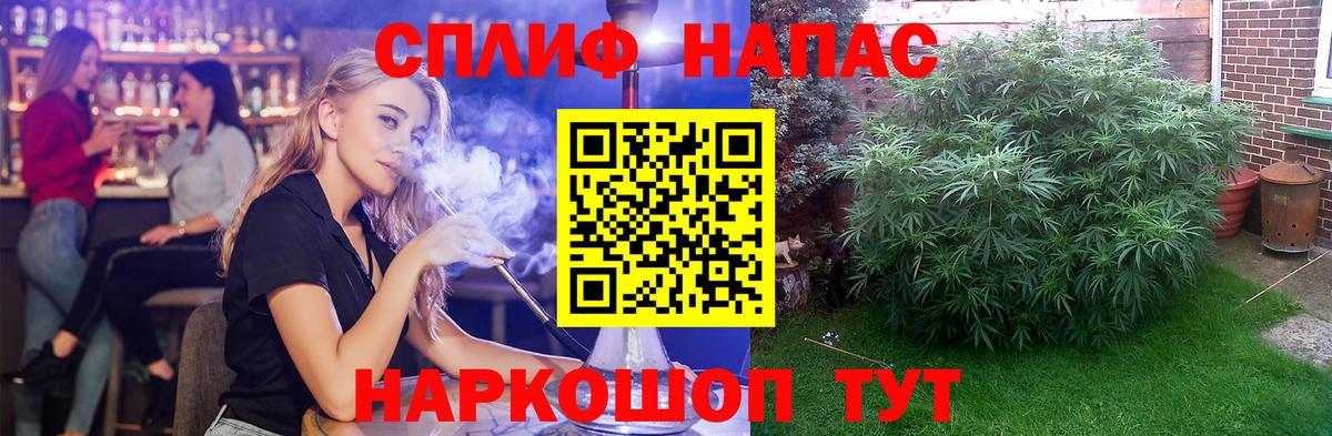 МАРИХУАНА семена Богородицк
